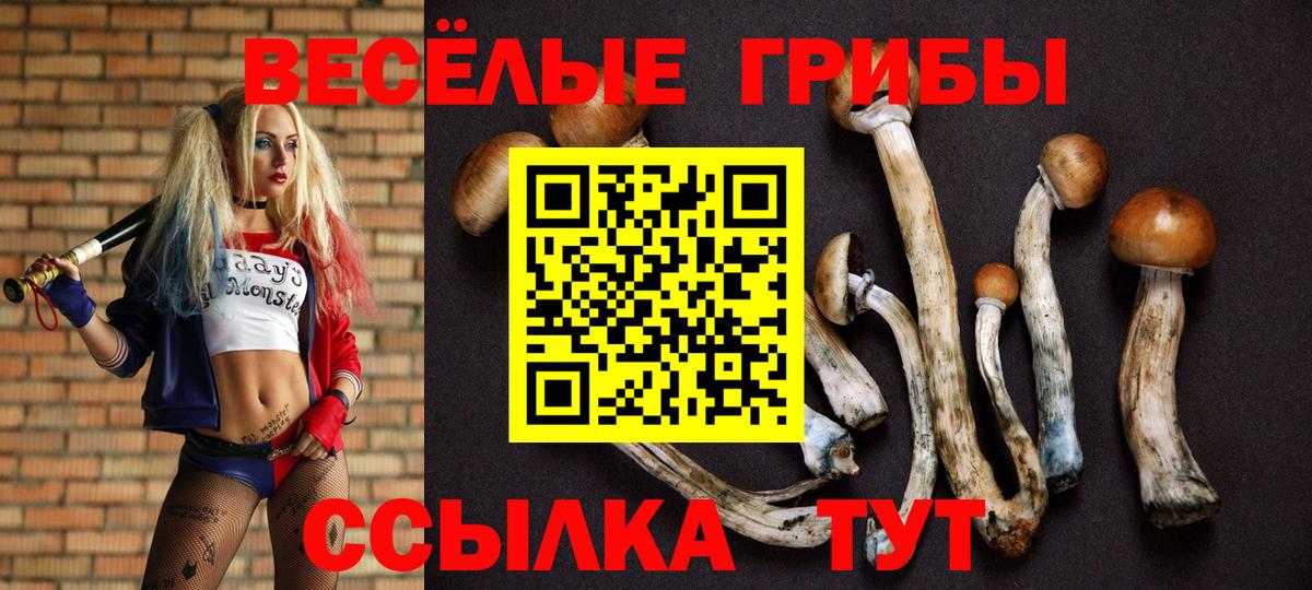 Галлюциногенные грибы GOLDEN TEACHER Геленджик