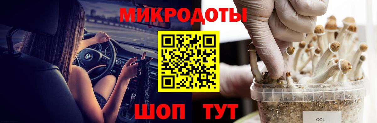 Псилоцибиновые грибы Psilocybe  Псилоцибиновые грибы Psilocybe  Геленджик  Вход с VPN 